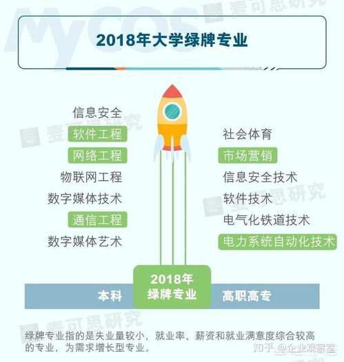 软件工程、网络工程与网络安全 专业选择指南与未来前景探析